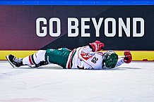 Eishockey, Herren, CHL, Champions Hockey League, Saison 2022-2023, Achtelfinale, Straubing Tigers - Frölunda HC Göteborg, Rückspiel, 22.11.2022