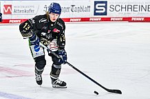 Eishockey, Herren, Penny DEL, 47. Spieltag, Saison 2023-2024, Straubing Tigers - Koelner Haie,18.02.2024