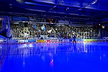 Eishockey, Men, DEL, Penny DEL, Hauptrunde Saison 2024-25, 5. Spieltag, Straubing Tigers - Eisbären Berlin, 01.01.2021