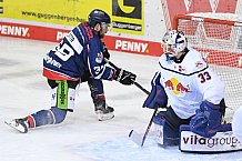 Eishockey, Herren, DEL, Saison 2020-2021, Straubing Tigers - EHC Red Bull München, 22.02.2021