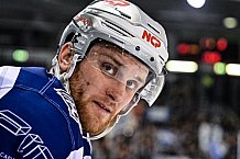 Eishockey, Herren, Penny DEL, DEL, Saison 2022-2023, Hauptrunde, Straubing Tigers - Nürnberg Ice Tigers, 31. Spieltag, 16.12.2022