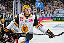 Eishockey, Men, CHL, Champions Hockey League, Regular Saison 2024-25, Game Day 2, Straubing Tigers - Skelleftea AIK, 08.09.2024