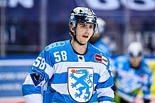 Eishockey, Herren, DEL, Saison 2021-2022, Panther, 16.12.2021