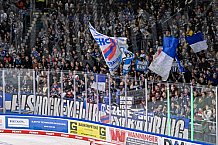 Eishockey, Herren, DEL, Saison 2022-2023, Hauptrunde, Straubing Tigers - Löwen Frankfurt, 7. Spieltag, 02.10.2022