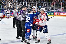 Eishockey, Men, CHL, Champions Hockey League, Regular Saison 2024-25, Game Day 4, Straubing Tigers - Dynamo Pardubice, 15.09.2024