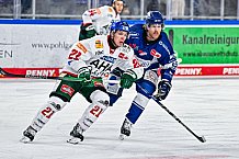 Eishockey, Herren, Penny DEL, 40. Spieltag, Saison 2023-2024, Straubing Tigers - Augsburger Panther,21.01.2024