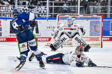 Eishockey, Herren, Penny DEL, 42. Spieltag, Saison 2023-2024, Straubing Tigers - Ingolstadt Panther,28.01.2024