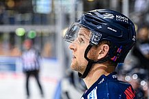 Eishockey, Herren, DEL, Saison 2021-2022, Straubing Tigers - Adler Mannheim, 10.09.2021