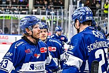 Eishockey, Herren, Penny DEL, 42. Spieltag, Saison 2023-2024, Straubing Tigers - Ingolstadt Panther,28.01.2024