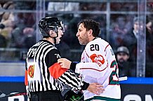 Eishockey, Herren, CHL, Champions Hockey League, Saison 2022-2023, Achtelfinale, Straubing Tigers - Frölunda HC Göteborg, Rückspiel, 22.11.2022