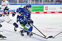 Eishockey, Men, DEL, Penny DEL, Hauptrunde Saison 2024-25, 4. Spieltag, Straubing Tigers - EHC Red Bull München, 29.09.2024