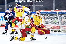 Eishockey, Herren, DEL, Saison 2020-2021, Straubing Tigers - Düsseldorfer EG, 04.04.2021
