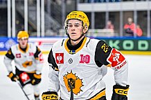Eishockey, Men, CHL, Champions Hockey League, Regular Saison 2024-25, Game Day 2, Straubing Tigers - Skelleftea AIK, 08.09.2024