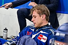 Eishockey, Men, DEL, Penny DEL, Hauptrunde Saison 2024-25, 5. Spieltag, Straubing Tigers - Eisbären Berlin, 01.10.2024