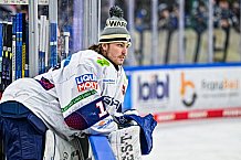 Eishockey, Herren, Penny DEL, 37. Spieltag, Saison 2023-2024, Straubing Tigers - Eisbären Berlin,12.01.2024