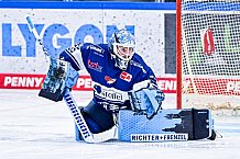 Eishockey, Herren, DEL, Penny DEL, Vorbereitung, Gäubodencup 2023, Saison 2023-2024, Straubing Tigers - Nürnberg Ice Tigers,18.08.2023