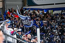 Eishockey, Men, CHL, Champions Hockey League, Regular Saison 2024-25, Game Day 4, Straubing Tigers - Dynamo Pardubice, 15.09.2024
