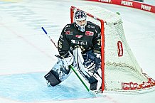Eishockey, Herren, Penny DEL, 14. Spieltag, Saison 2023-2024, Straubing Tigers - Nuernberg Ice Tigers,27.10.2023
