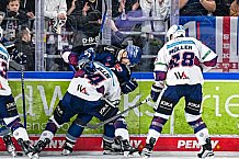 Eishockey, Herren, Penny DEL, Playoffs, Halbfinale, Spiel 4, Saison 2023-2024, Straubing Tigers - Eisbären Berlin, n07.04.2024