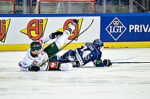 Eishockey, CHL, Champions Hockey League, 4. Spieltag, Saison 2022-2023, Gruppe F, Straubing Tigers - Färjestad BK Karlstad, 11.09.2022