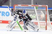 Eishockey, Herren, DEL, Saison 2020-2021, Straubing Tigers - Adler Mannheim, 06.03.2021