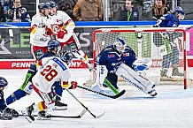 Eishockey, Men, DEL, Penny DEL, Hauptrunde Saison 2024-25, 1. Spieltag, Straubing Tigers - Düsseldorfer EG, 20.09.2024