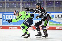 Eishockey, Herren, DEL, Saison 2020 2021, Straubing Tigers - ERC Ingolstadt, 31.01.2021