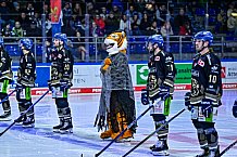 Eishockey, Herren, Penny DEL, 16. Spieltag, Saison 2023-2024, Straubing Tigers - Schwenninger Wild Wings,31.10.2023