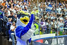 Eishockey, CHL, Champions Hockey League, 5. Spieltag, Saison 2022-2023, Gruppe F, Villacher SV - Straubing Tigers, 04.10.2022