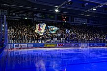 Eishockey, Herren, Penny DEL, 37. Spieltag, Saison 2023-2024, Straubing Tigers - Eisbären Berlin,12.01.2024