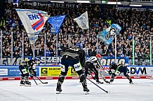 Eishockey, Herren, Penny DEL, 47. Spieltag, Saison 2023-2024, Straubing Tigers - Koelner Haie,18.02.2024