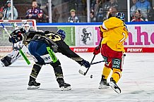 Eishockey, Herren, Penny DEL, 20. Spieltag, Saison 2023-2024, Straubing Tigers - Duesseldorfer EG,19.11.2023