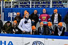 Eishockey, Herren, Penny DEL, DEL, Saison 2022-2023, Hauptrunde, Straubing Tigers - Kölner Haie, 57. Spieltag, 26.02.2023