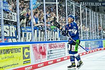 Eishockey, Herren, Penny DEL, 4. Spieltag, Saison 2023-2024, Straubing Tigers - Loewen Frankfurt,24.09.2023
