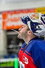 Eishockey, Herren, Penny DEL, 22. Spieltag, Saison 2023-2024, Straubing Tigers - Fischtown Pinguins Bremerhaven,26.11.2023
