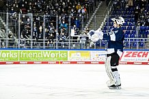 Eishockey, Herren, DEL, Saison 2021-2022, 39. Spieltag, Straubing Tigers - Grizzlys Wolfsburg,  18.02.2022