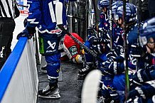 Eishockey, Men, DEL, Penny DEL, Hauptrunde Saison 2024-25, 1. Spieltag, Straubing Tigers - Düsseldorfer EG, 20.09.2024