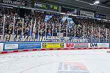 Eishockey, Herren, Penny DEL, 22. Spieltag, Saison 2023-2024, Straubing Tigers - Fischtown Pinguins Bremerhaven,26.11.2023