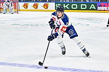 Eishockey, Men, CHL, Champions Hockey League, Regular Saison 2024-25, Game Day 1, Straubing Tigers - SonderjyskE Vojens, 06.09.2024