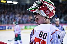 Eishockey, Herren, CHL, Champions Hockey League, Saison 2022-2023, Achtelfinale, Straubing Tigers - Frölunda HC Göteborg, Rückspiel, 22.11.2022