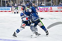 Eishockey, Herren, Penny DEL, Playoffs, Viertelfinale, Spiel 7, Saison 2023-2024, Straubing Tigers - Schwenninger Wild Wings,30.03.2024