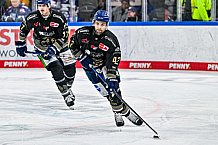 Eishockey, Herren, Penny DEL, 47. Spieltag, Saison 2023-2024, Straubing Tigers - Koelner Haie,18.02.2024
