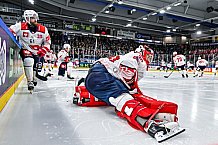 Eishockey, Men, CHL, Champions Hockey League, Regular Saison 2024-25, Game Day 4, Straubing Tigers - Dynamo Pardubice, 15.09.2024