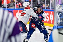 Eishockey, Men, CHL, Champions Hockey League, Regular Saison 2024-25, Game Day 4, Straubing Tigers - Dynamo Pardubice, 15.09.2024