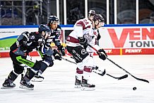 Eishockey, Herren, DEL, Saison 2020-2021, Straubing Tigers - Kölner Haie, 11.04.2021