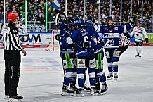 Eishockey, Herren, Penny DEL, 42. Spieltag, Saison 2023-2024, Straubing Tigers - Ingolstadt Panther,28.01.2024
