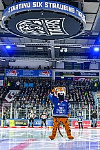 Eishockey, Herren, Penny DEL, Playoffs, Viertelfinale, Spiel 5, Saison 2023-2024, Straubing Tigers - Schwenninger Wild Wings,26.03.2024