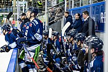 Eishockey, Herren, DEL, Saison 2021-2022, 25. Spieltag, Straubing Tigers - Augsburger Panther,  20.02.2022