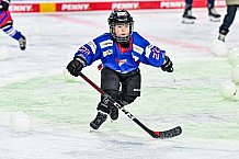 Eishockey, Men, DEL, Penny DEL,  Straubing Tigers - Kids on Ice, 28.09.2024