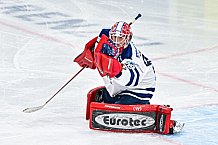 Eishockey, Herren, Penny DEL, 26. Spieltag, Saison 2023-2024, Straubing Tigers - Iserlohn Roosters,10.12.2023